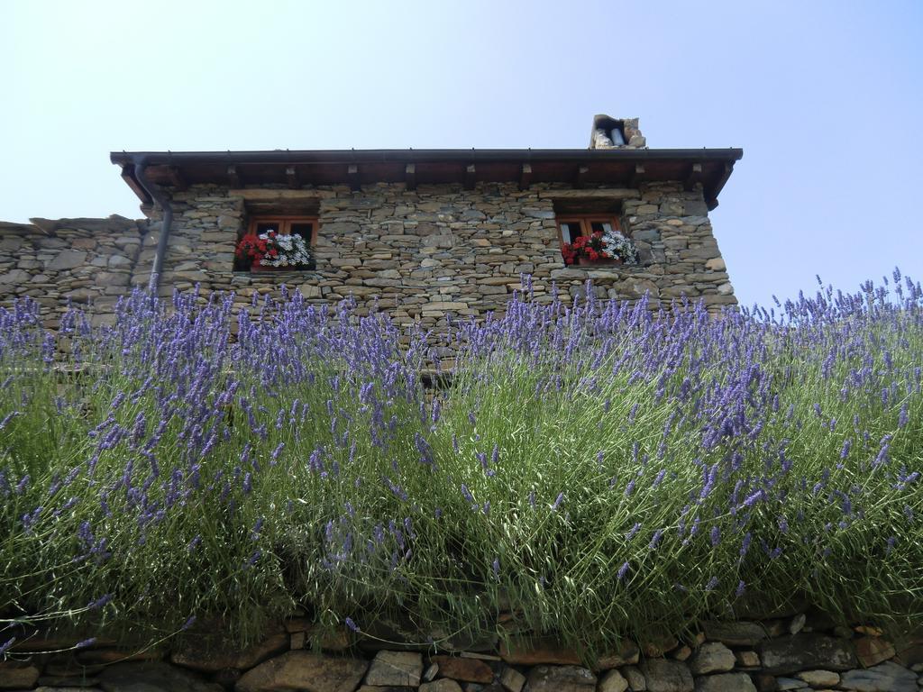 Agriturismo La Fontana Dell'Olmo Hotel Molini di Triora Exterior photo
